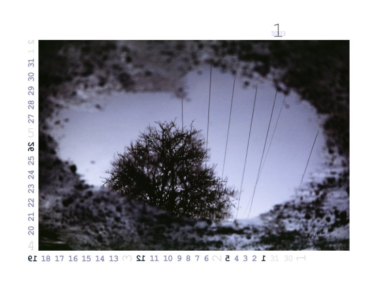 Projekte &raquo; Kalender 2003